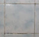 closeup of mould in grout lines